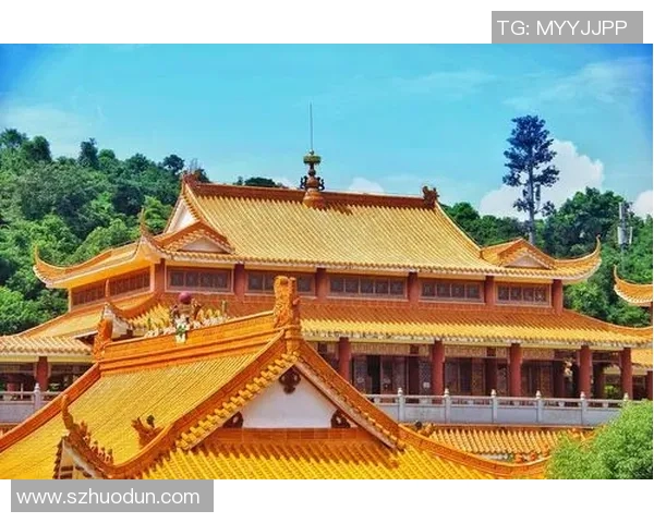 广东与深圳的对决谁能胜出探讨两地经济与文化的深厚联系